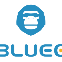 Collection image for: BlueO